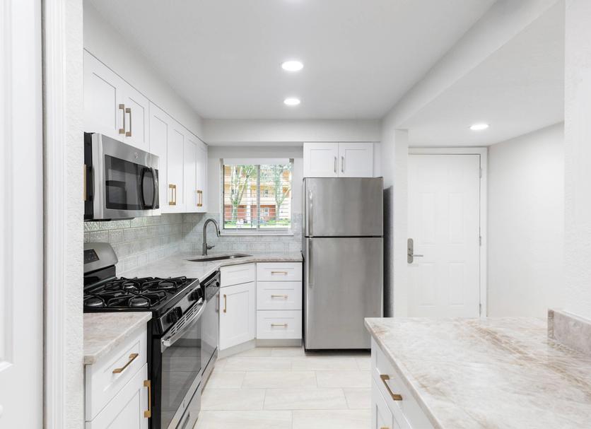 Kitchen Photo