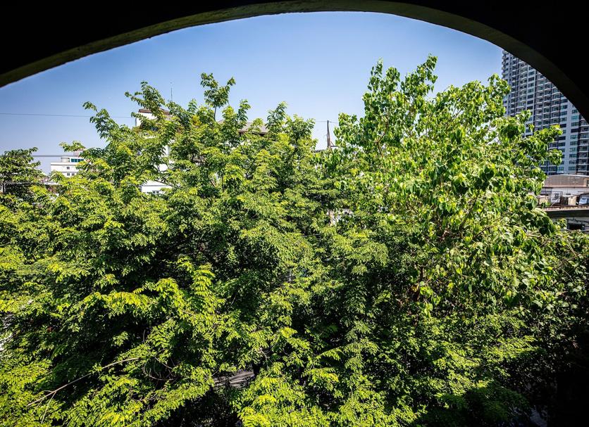 Outdoors view Photo