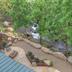 Outdoors view