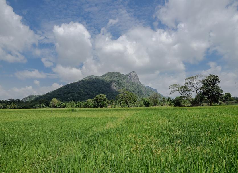 Outdoors view Photo