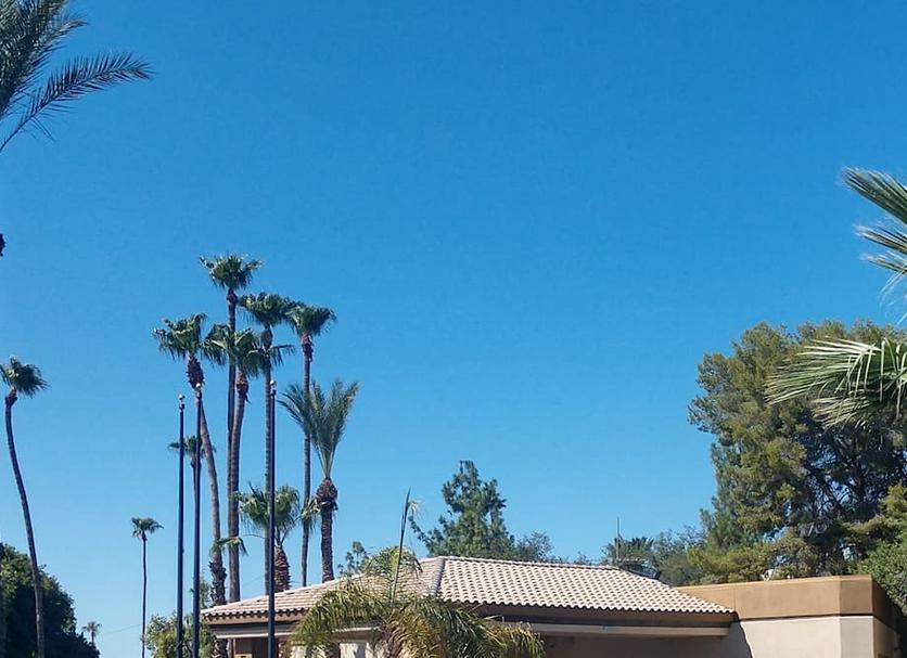 Outdoors view Photo