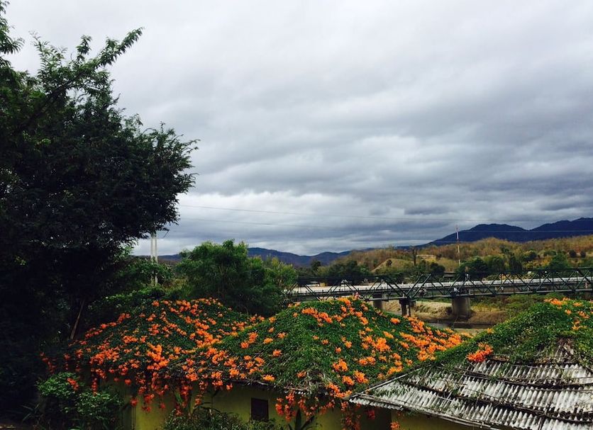 Outdoors view Photo