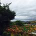 Outdoors view