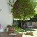 Outdoors view