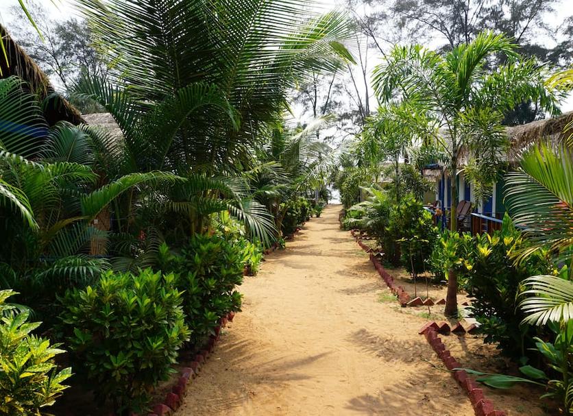Outdoors view Photo