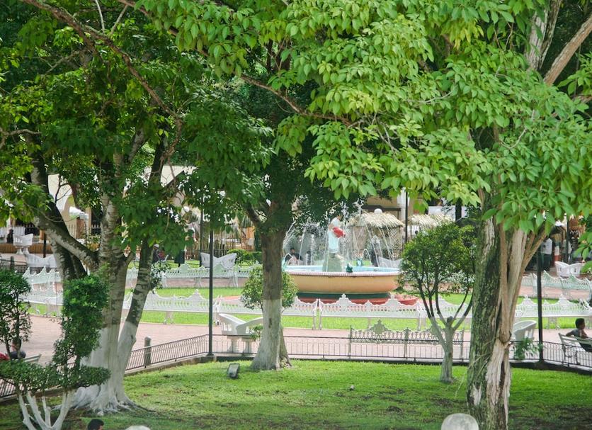 Outdoors view Photo
