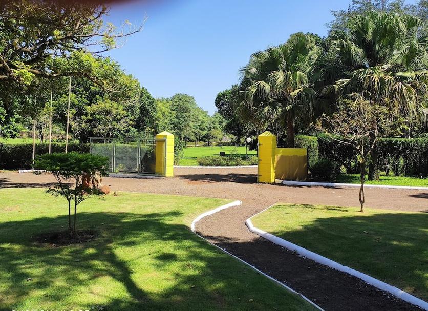 Outdoors view Photo