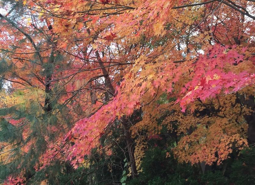 Outdoors view Photo