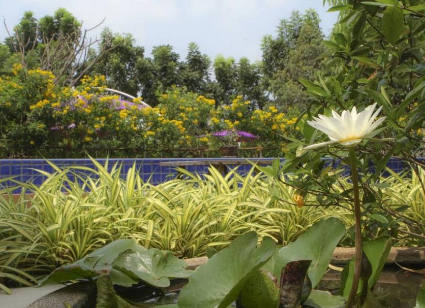 Outdoors view Photo