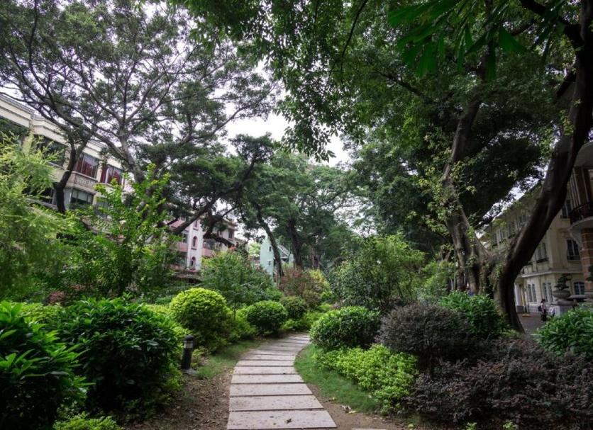 Outdoors view Photo