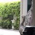 Outdoors view