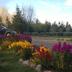 Outdoors view