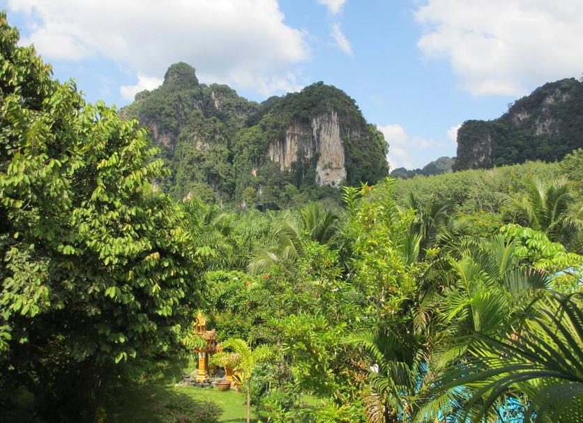 Outdoors view Photo