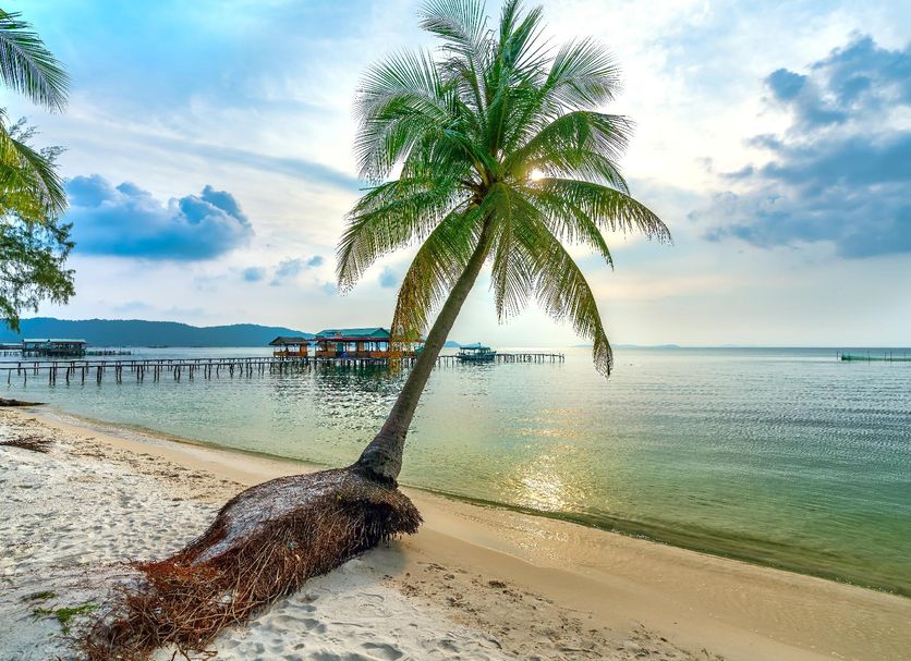 Beach Photo