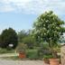 Outdoors view