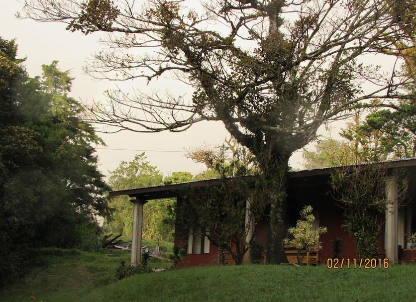 Other Photo