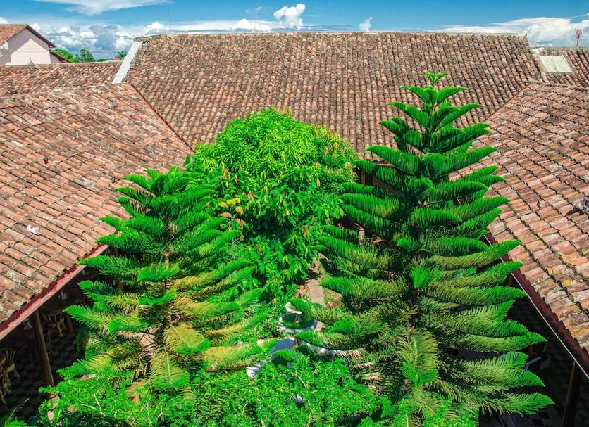 Outdoors view Photo