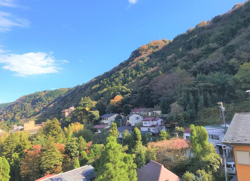 Outdoors view Photo