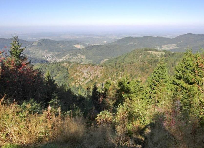 Outdoors view Photo