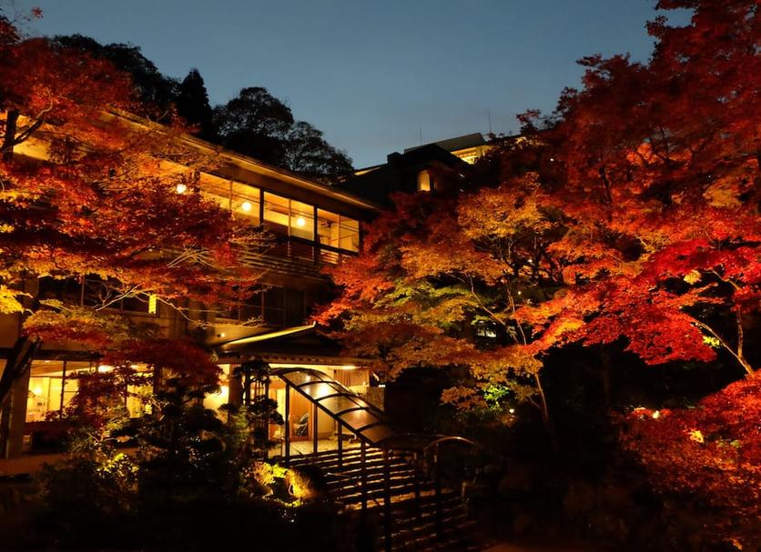 Outdoors view Photo