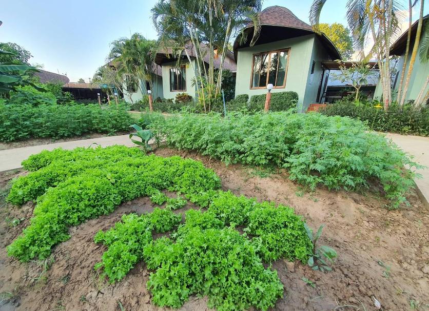 Outdoors view Photo