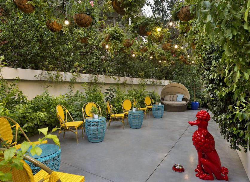 Patio Photo