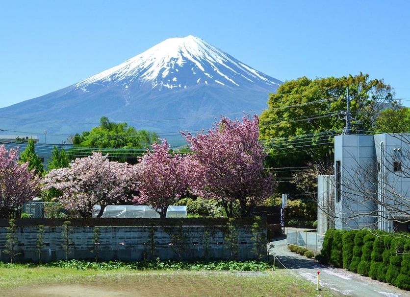 Outdoors view Photo
