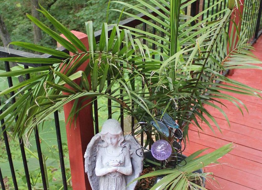 Other Photo