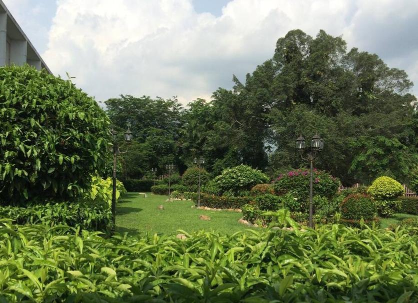 Outdoors view Photo