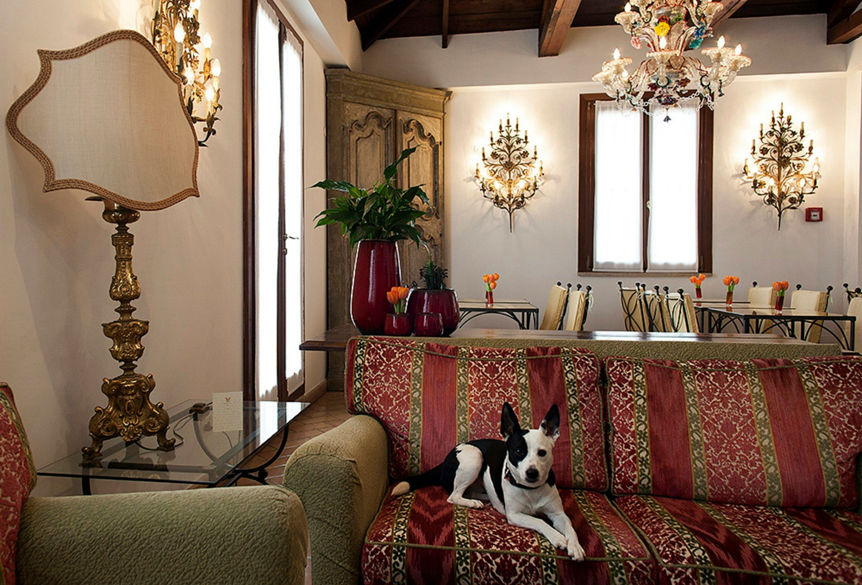 Hotel amenity Photo
