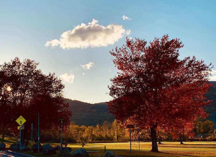Outdoors view Photo