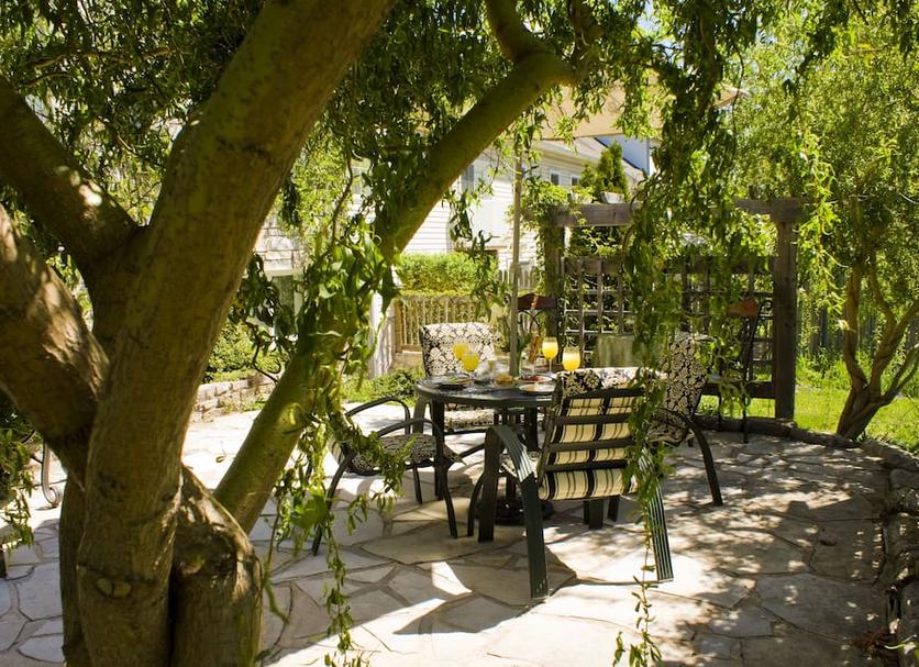 Patio Photo