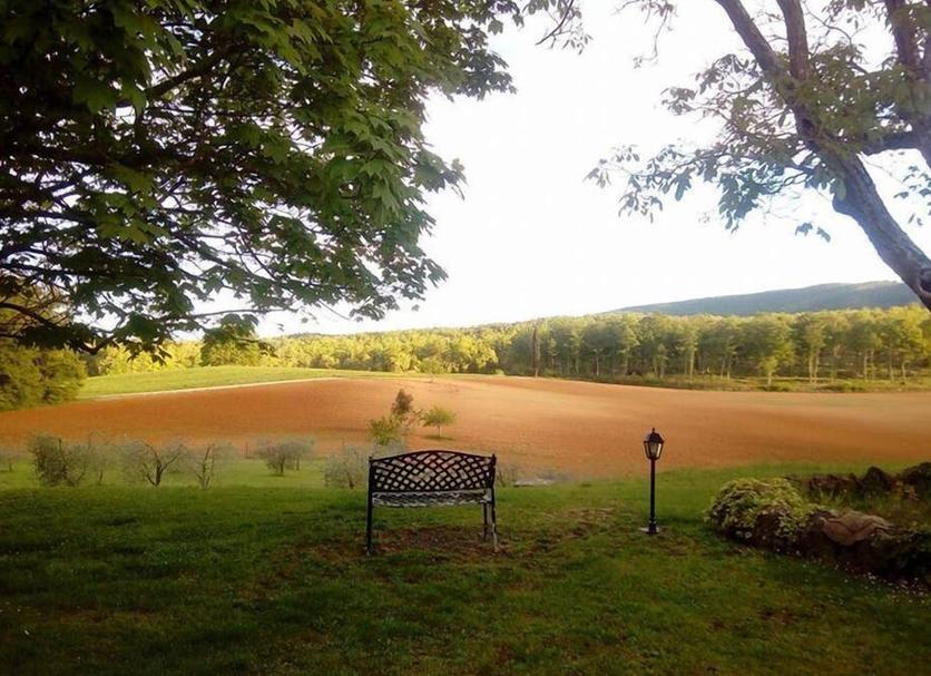 Outdoors view Photo