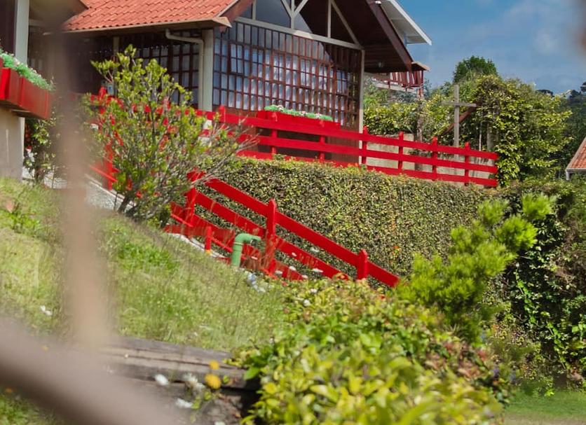 Outdoors view Photo