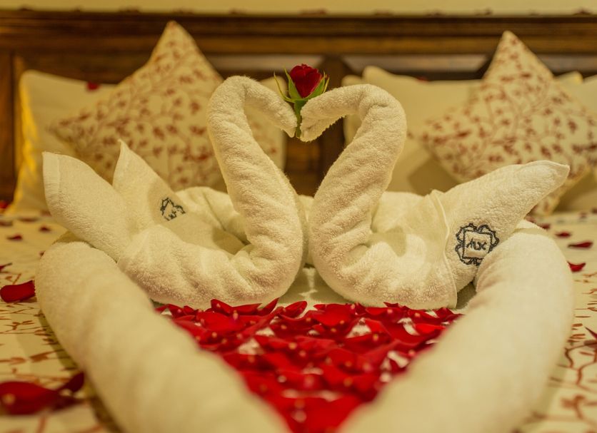 Room amenity Photo