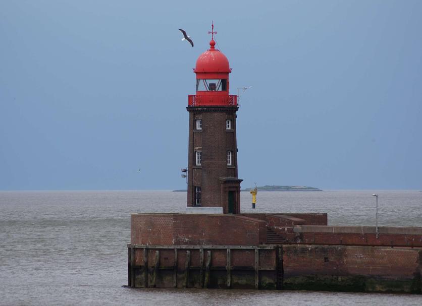 Other Photo