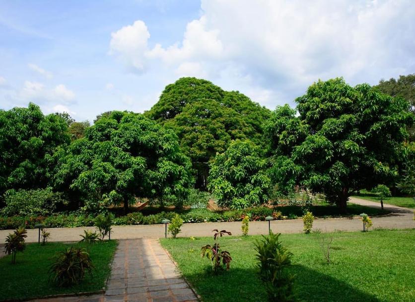 Outdoors view Photo