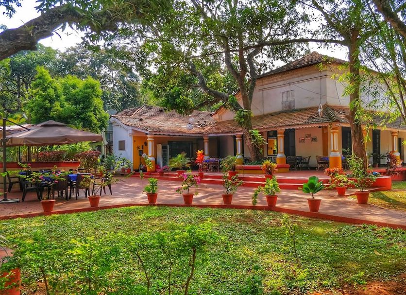 Patio Photo