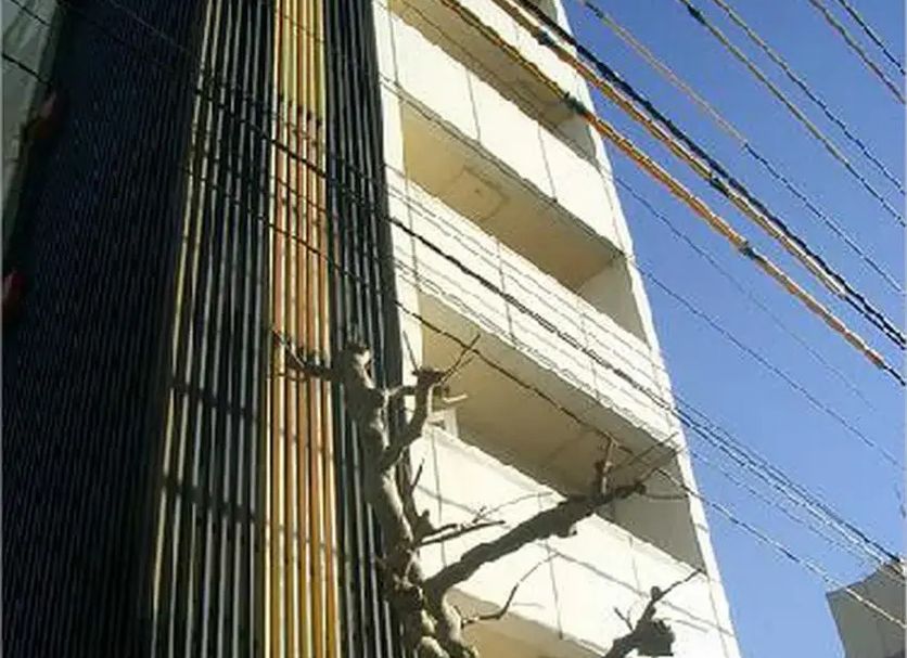 Other Photo