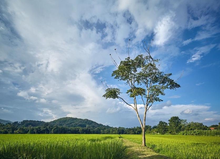 Outdoors view Photo
