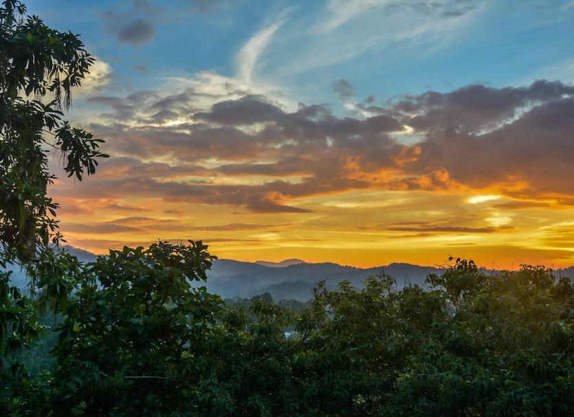Outdoors view Photo