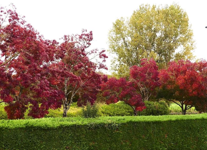 Outdoors view Photo