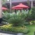 Outdoors view