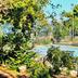 Outdoors view
