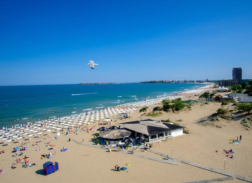 Beach Photo