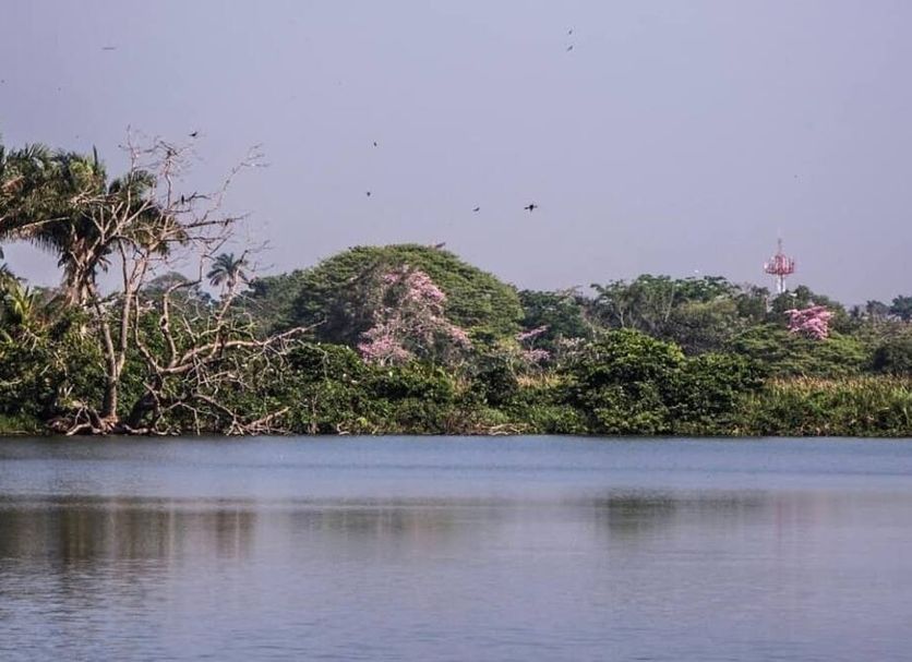 Outdoors view Photo