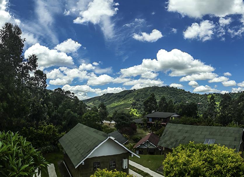Outdoors view Photo