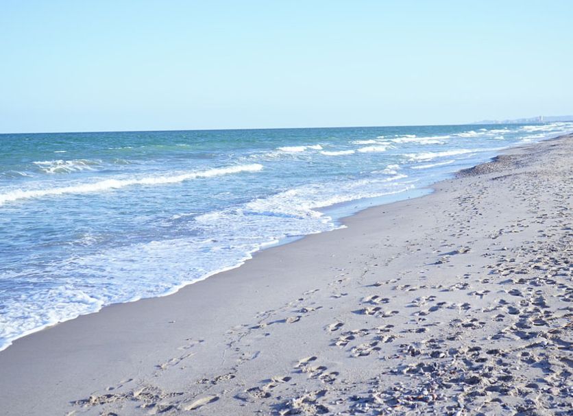 Beach Photo